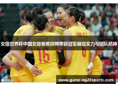 女排世界杯中国女排奋勇拼搏荣获冠军展现实力与团队精神